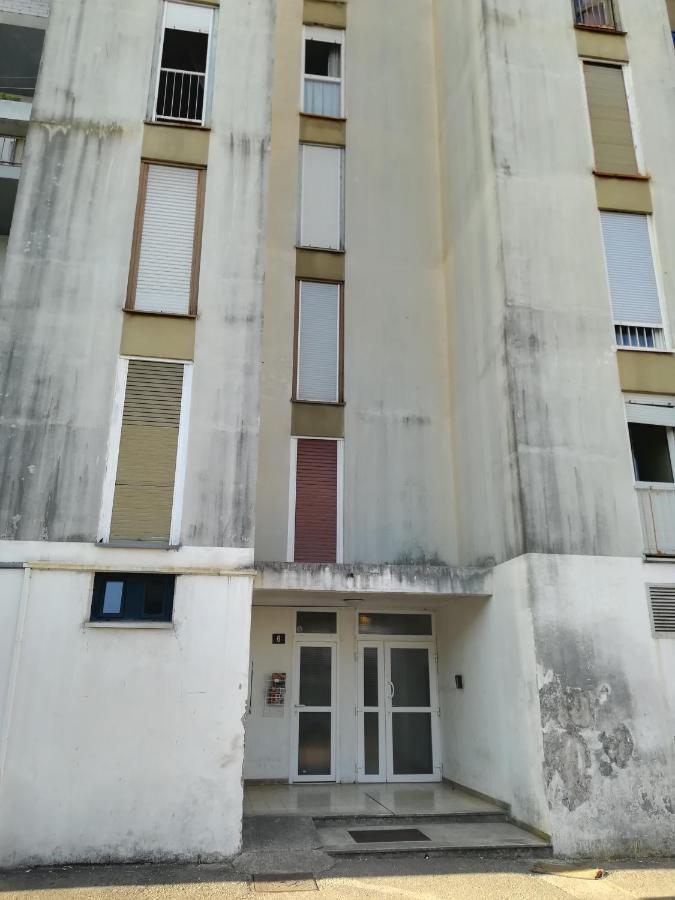 Ryanair'S Urban Flat In Zadar-Kolovare Beach Экстерьер фото